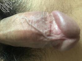 广州的姐姐在哪里?0