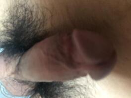 广州的姐姐在哪里?2