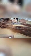 【妹妹日记67】妹妹兴奋时硬起来的奶头，能插进我的马眼，爽极了