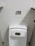 打印母狗，贴在公厕里供人欣赏