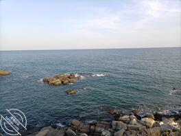 青岛市黄岛区，研究生，求偶遇1