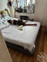 最强骚母狗徐赛月 评论的好的给金币