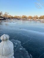 房山稻田，0.5，很骚，想要的速来