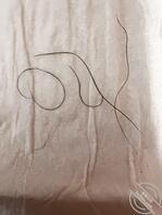 丰县便集88年老母狗王莹秋1