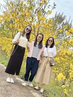 求绿母任务，会努力去做1