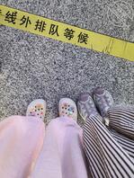 跟侄子达成共识了0