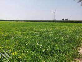 跟弟弟回老家过生日了,有了进一步进展1