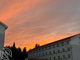 准备好干表妹的工具了