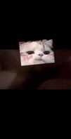 福建绿奴想贡献骚母狗女友，做的时候跟陌生人打电话叫爸爸发骚发情，满足不了
