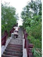 把你们骚逼老妈的照片也跟到下面2