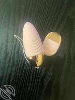 骚妈箱子里翻出来的玩具2