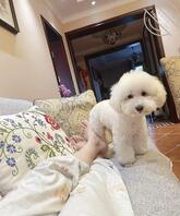 女友大学时做过别人小三