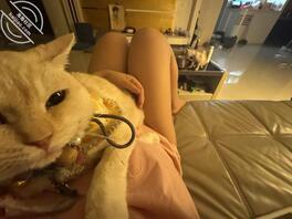 嘿嘿，再发一次，点赞评论加关注哦2