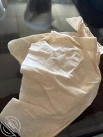 叮叮憋坏了，透透气，最近血液循环很给力，大大的0