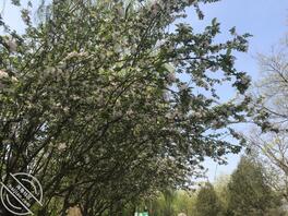 陪读妈妈真实的故事，如果有，请私信我，谢谢1