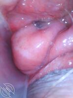 性感美女的阴道内部长什么样呢