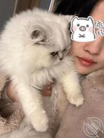 表姐毕业了，暂时没找到工作住我家，我想日她，各位大神有办法吗，求教，0