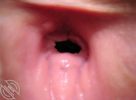 发骚嫂子，水汪汪的逼，逼洞粉嫩