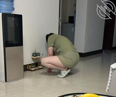 我的母猪鸡巴套子贱逼妈妈0