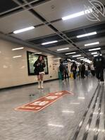 抄底粗腿母猪-棕色还是橙色内裤0