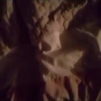 发现了一个小视频，外国的母子，看着挺刺激。真实小王子