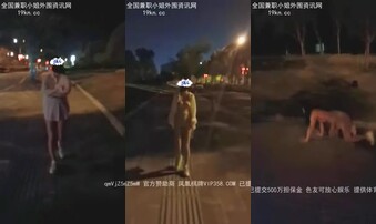 公路露出（下）母狗爬行