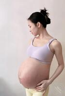 分享一下自己辛酸的借种之路1