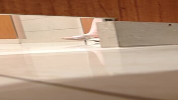 厕拍系列8，超级jp可惜蹲位不正确，非常遗憾……