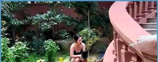 隔壁姑娘2