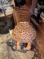 想看看你们的母狗了，评论区把照片甩起来2