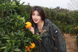 出卖老师，一起来玩呀2