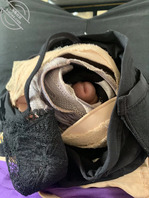 爆射亲姐的结婚照2