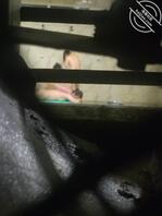 完了被抓住了以后不能拍了2