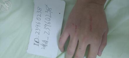 真事33倒在妈妈的脚下,或许是一个重新的开始0