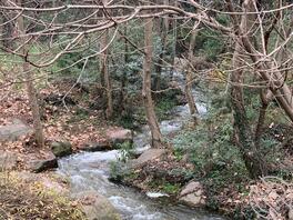 绿母奴求主人每天安排任务