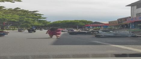 经理大姐夹着跳蛋走路是这样的