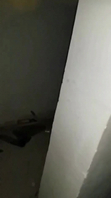 和房东阿姐的故事