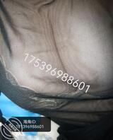 新买的透视情趣内衣，自拍几张给大家看看怎么样？喜欢大奶子的福音！2