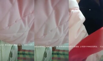 上海60块小野鸡，注意听叫声91