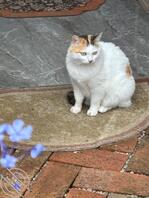 昆明男大国庆找姐姐1