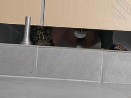 原创，偷拍加油站上厕所的小姐姐，和农村的旱厕，差点被发现了，1