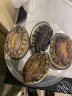 想野爹草我骚妈，语言羞辱，不要嘴下留情