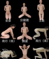 努力把爱妻调教成母狗0