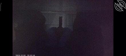 偷拍邻居嫂子的嫂逼。0