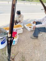 有喜欢露出的海友一起交流0