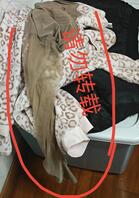 绿妈奴儿子丝袜骚妈1