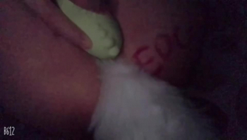 小母狗的任务，看比赛时自慰