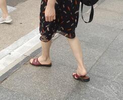 初中语文老师的美脚