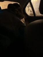 体制内女神老婆和她的熟人单男们