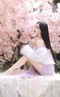 冬天的樱花让人更温柔0